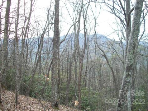 0 Anglers Ridge Road Maggie Valley NC 28751