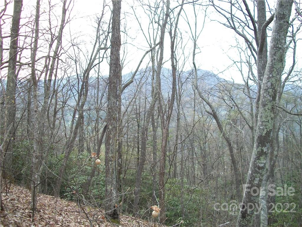 0 Anglers Ridge Road Maggie Valley NC 28751
