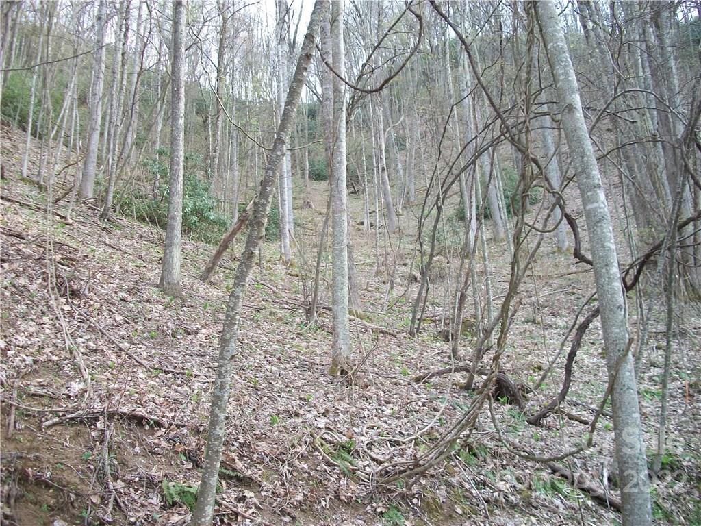 0 Anglers Ridge Road Maggie Valley NC 28751