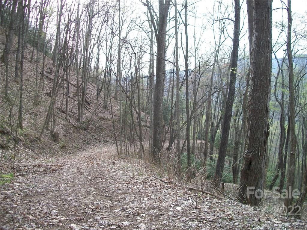 0 Anglers Ridge Road Maggie Valley NC 28751