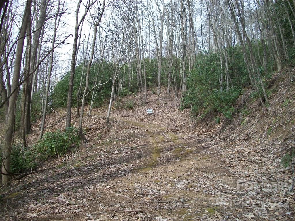 0 Anglers Ridge Road Maggie Valley NC 28751