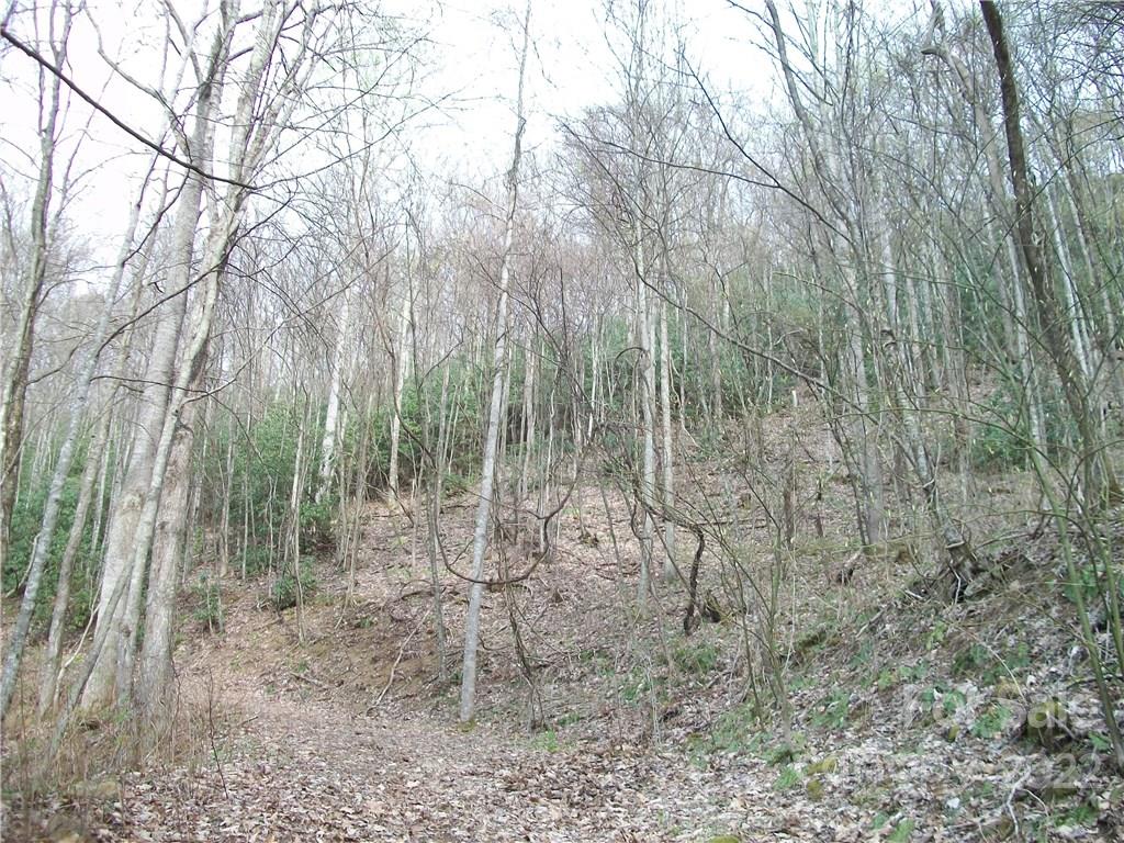 0 Anglers Ridge Road Maggie Valley NC 28751