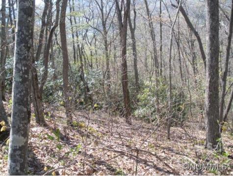 0 Anglers Ridge Road Maggie Valley NC 28751