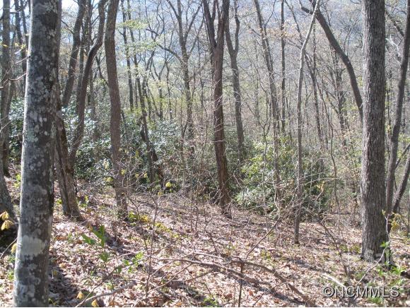 0 Anglers Ridge Road Maggie Valley NC 28751