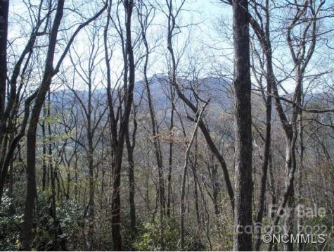0 Anglers Ridge Road Maggie Valley NC 28751