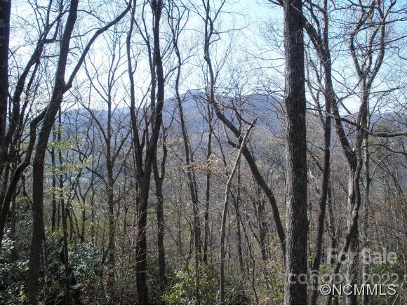 0 Anglers Ridge Road Maggie Valley NC 28751
