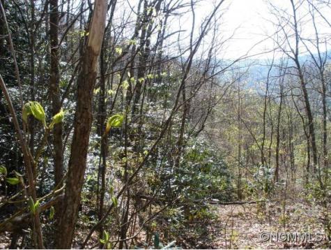 0 Anglers Ridge Road Maggie Valley NC 28751