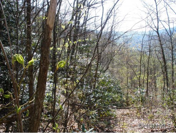 0 Anglers Ridge Road Maggie Valley NC 28751