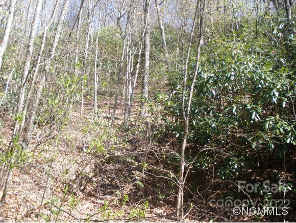 0 Anglers Ridge Road Maggie Valley NC 28751
