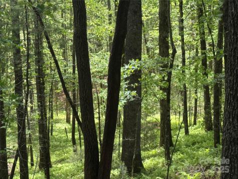 9999 Sassafras Road Cedar Mountain NC 28718