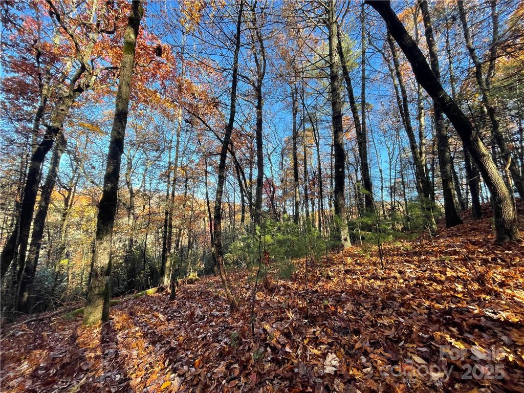 9999 Sassafras Road Cedar Mountain NC 28718