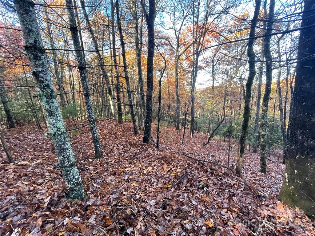 9999 Sassafras Road Cedar Mountain NC 28718