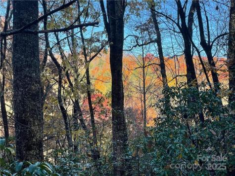 9999 Sassafras Road Cedar Mountain NC 28718