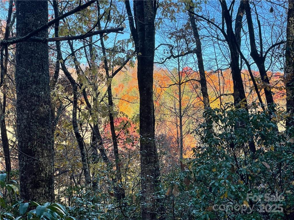 9999 Sassafras Road Cedar Mountain NC 28718