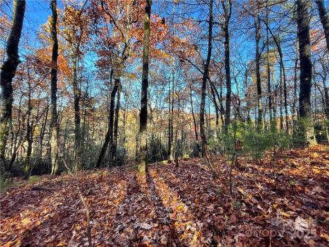 9999 Sassafras Road Cedar Mountain NC 28718