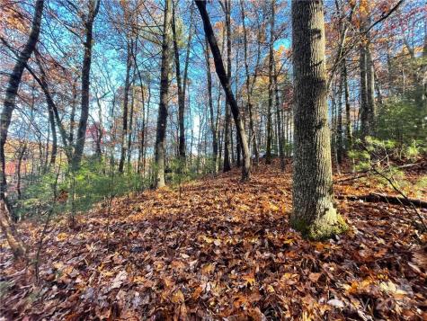 9999 Sassafras Road Cedar Mountain NC 28718
