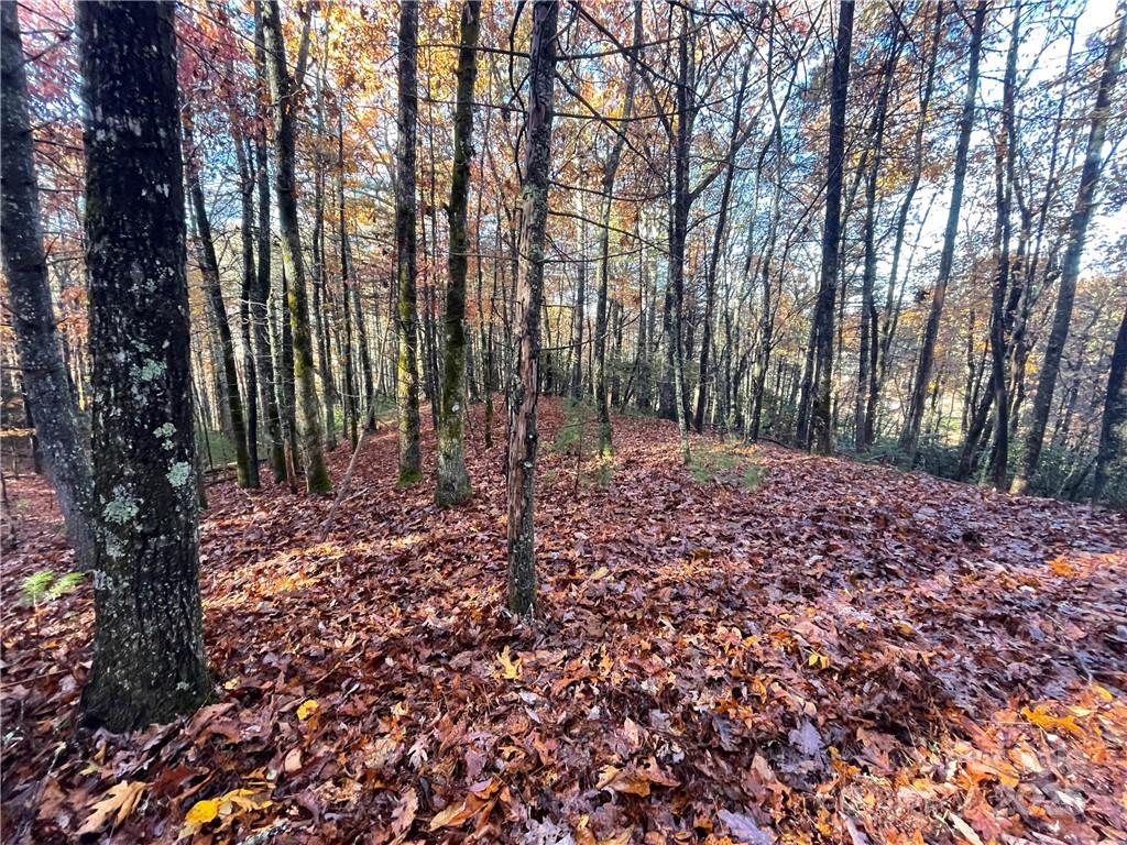9999 Sassafras Road Cedar Mountain NC 28718