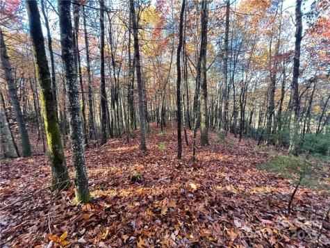 9999 Sassafras Road Cedar Mountain NC 28718