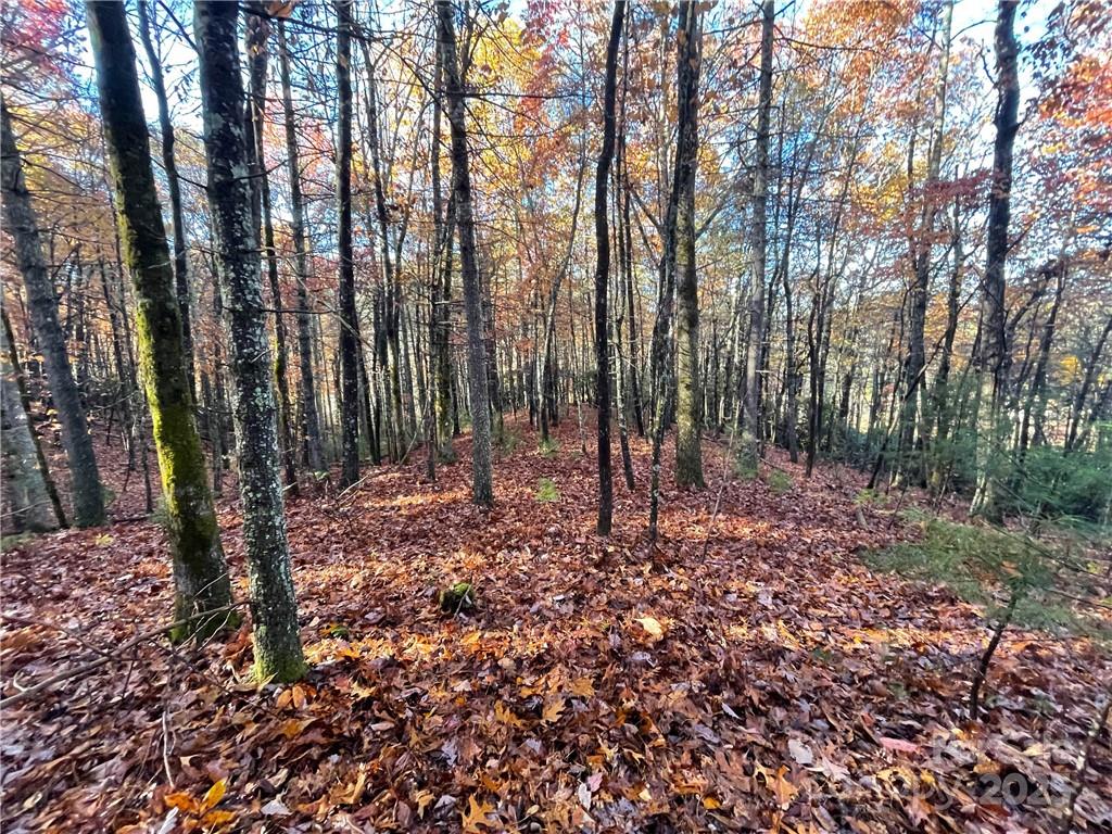 9999 Sassafras Road Cedar Mountain NC 28718