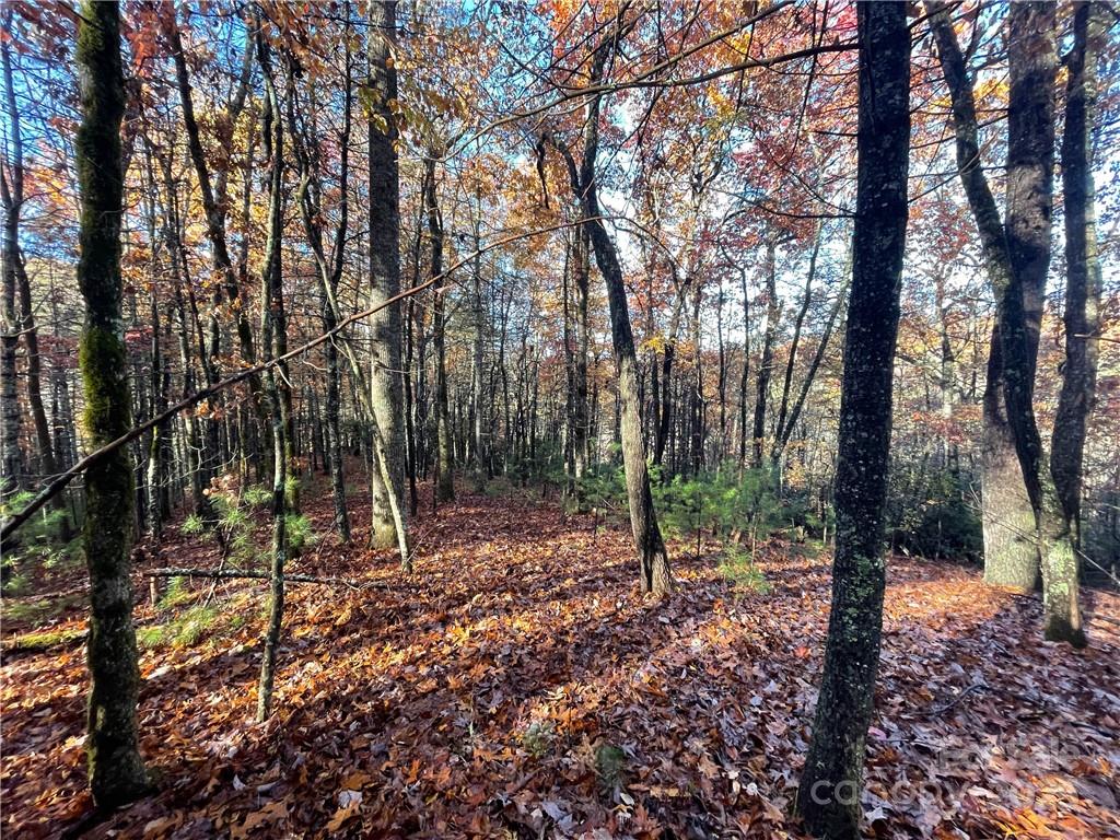 9999 Sassafras Road Cedar Mountain NC 28718