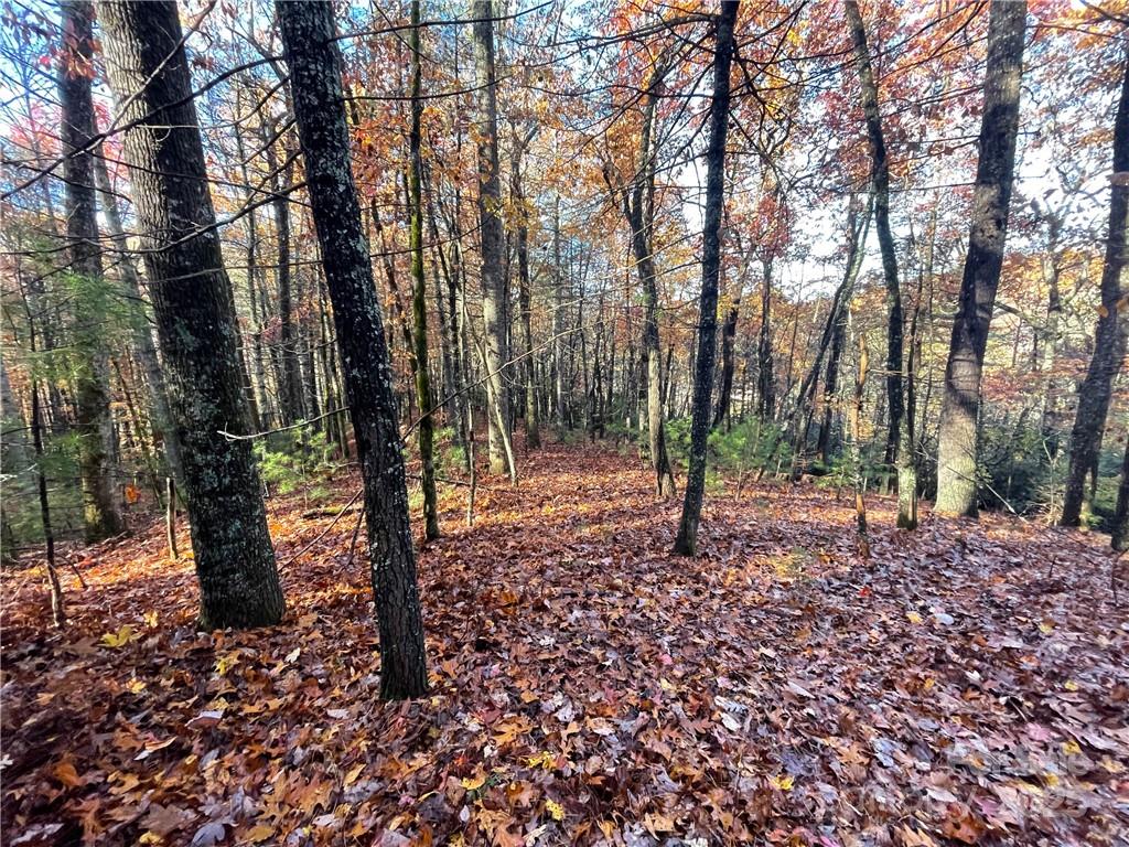 9999 Sassafras Road Cedar Mountain NC 28718