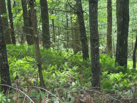 9999 Sassafras Road Cedar Mountain NC 28718
