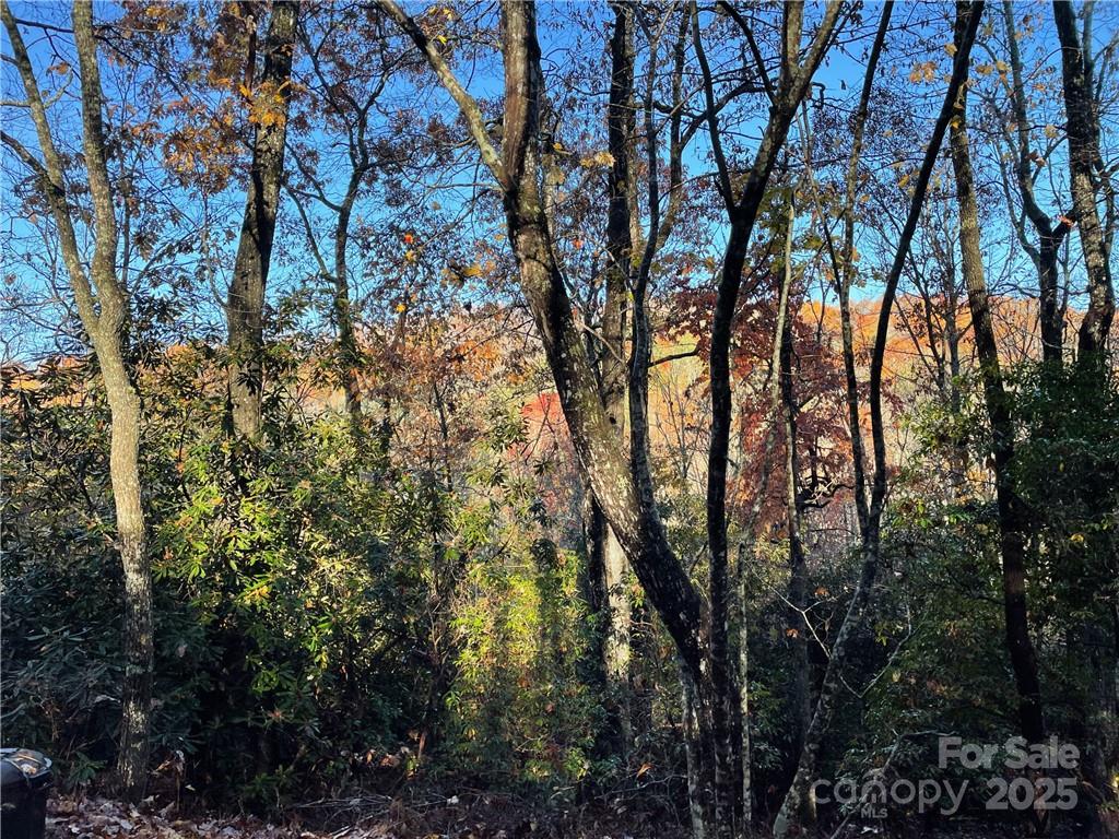 9999 Sassafras Road Cedar Mountain NC 28718