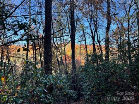 9999 Sassafras Road Cedar Mountain NC 28718