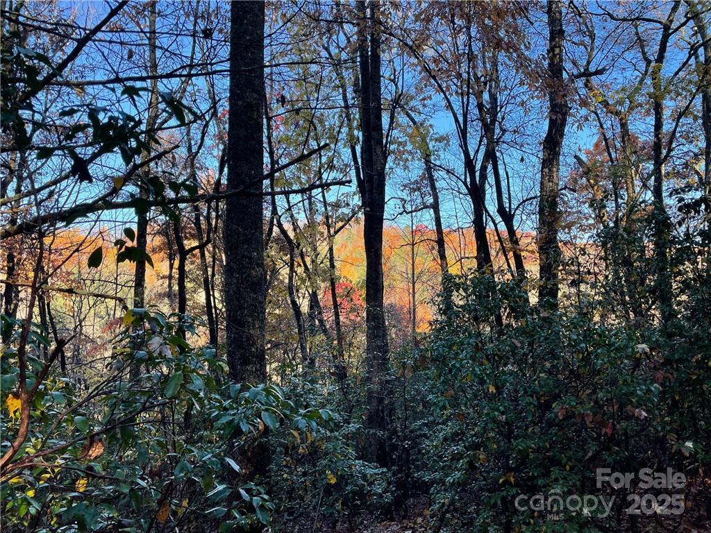 9999 Sassafras Road Cedar Mountain NC 28718