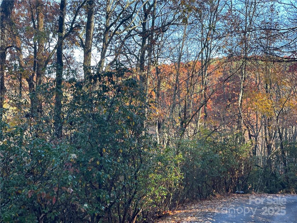 9999 Sassafras Road Cedar Mountain NC 28718