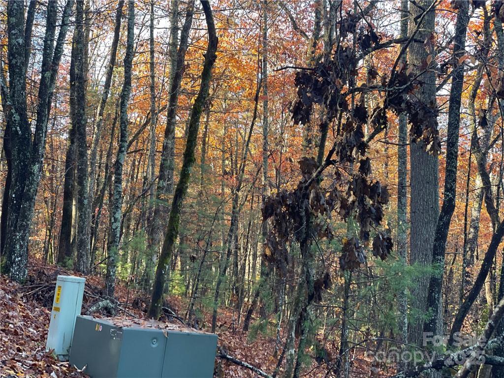9999 Sassafras Road Cedar Mountain NC 28718