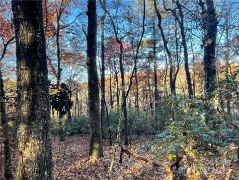9999 Sassafras Road Cedar Mountain NC 28718