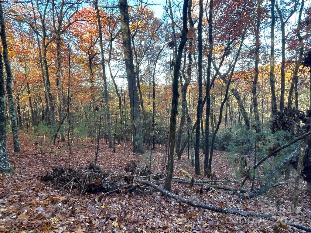 9999 Sassafras Road Cedar Mountain NC 28718