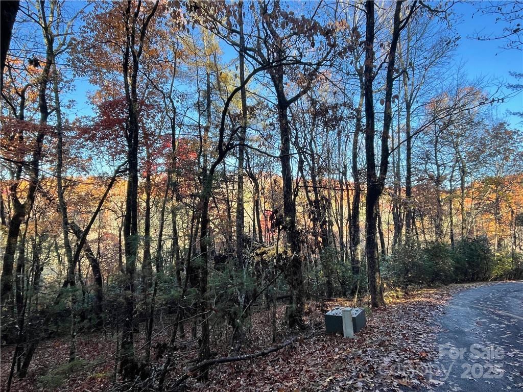 9999 Sassafras Road Cedar Mountain NC 28718