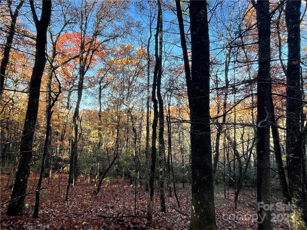 9999 Sassafras Road Cedar Mountain NC 28718