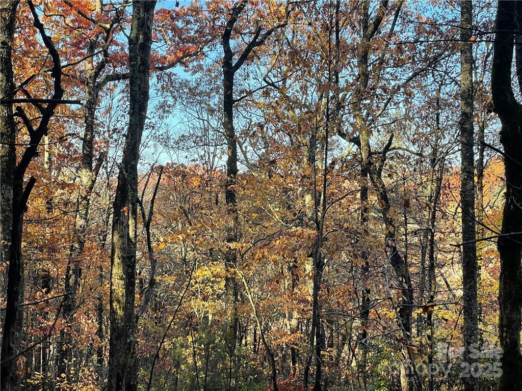 9999 Sassafras Road Cedar Mountain NC 28718
