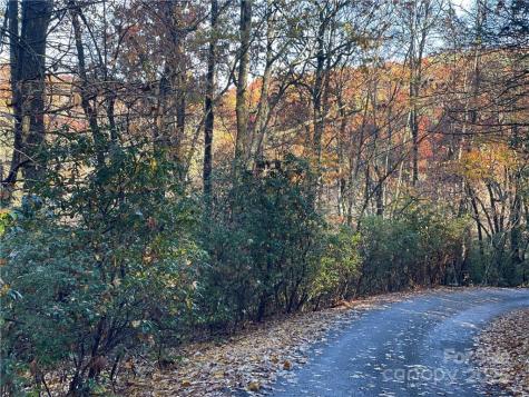 9999 Sassafras Road Cedar Mountain NC 28718