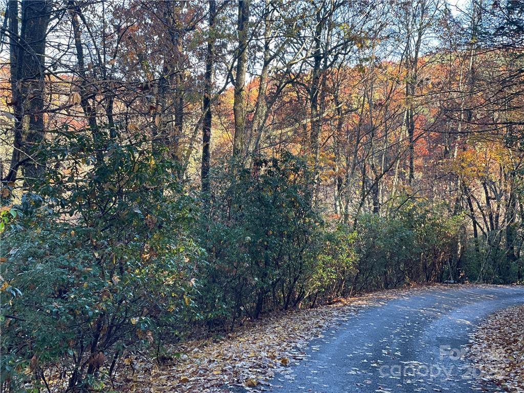 9999 Sassafras Road Cedar Mountain NC 28718