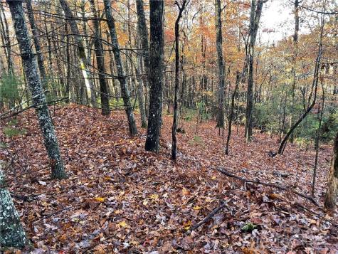 9999 Sassafras Road Cedar Mountain NC 28718