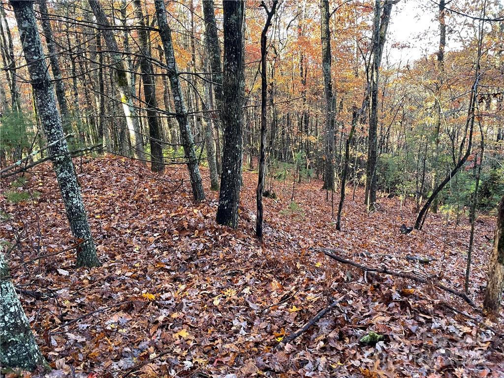 9999 Sassafras Road Cedar Mountain NC 28718