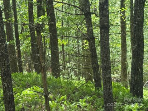 9999 Sassafras Road Cedar Mountain NC 28718