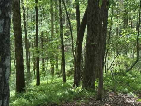 9999 Sassafras Road Cedar Mountain NC 28718