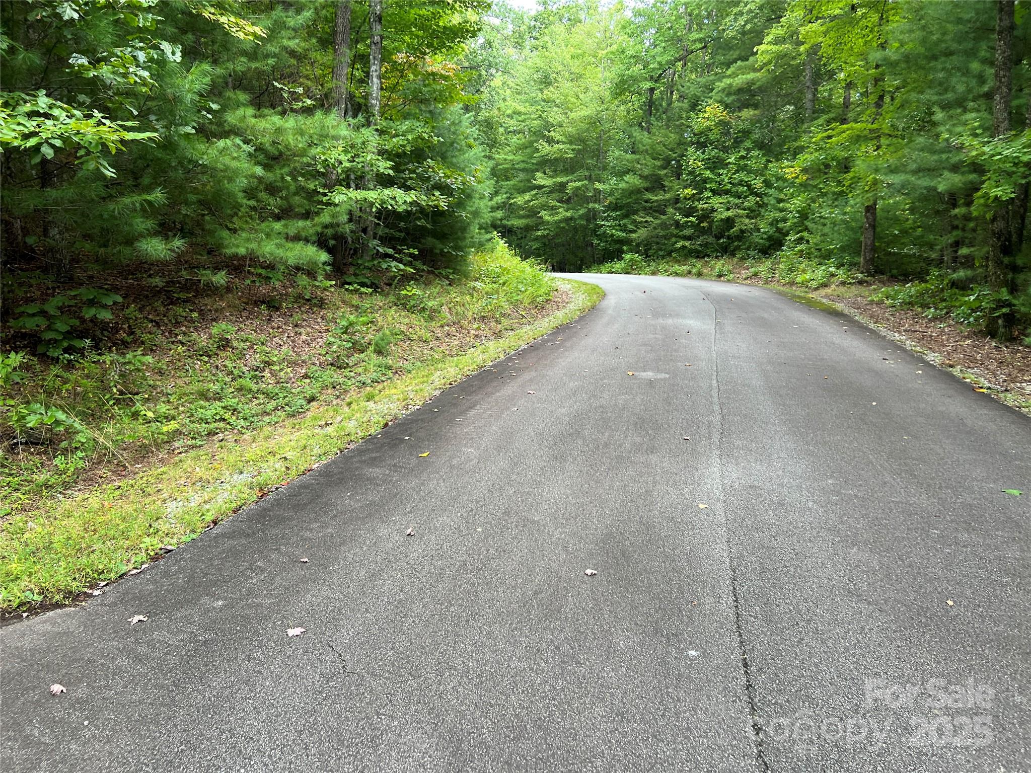 9999 Sassafras Road Cedar Mountain NC 28718
