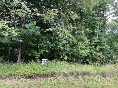 9999 Sassafras Road Cedar Mountain NC 28718