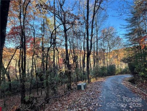 9999 Sassafras Road Cedar Mountain NC 28718