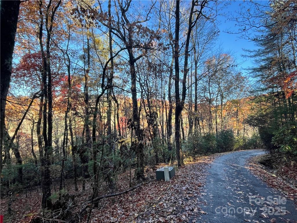 9999 Sassafras Road Cedar Mountain NC 28718