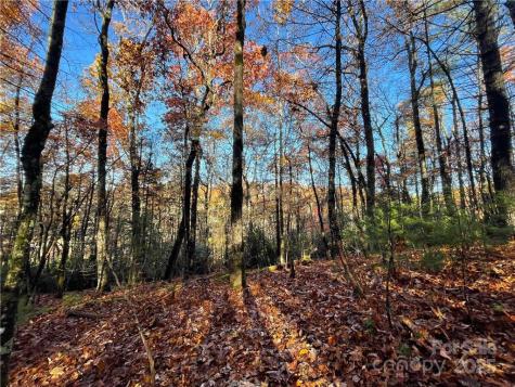 9999 Sassafras Road Cedar Mountain NC 28718