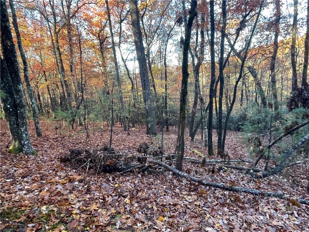 9999 Sassafras Road Cedar Mountain NC 28718