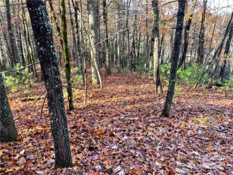 9999 Sassafras Road Cedar Mountain NC 28718