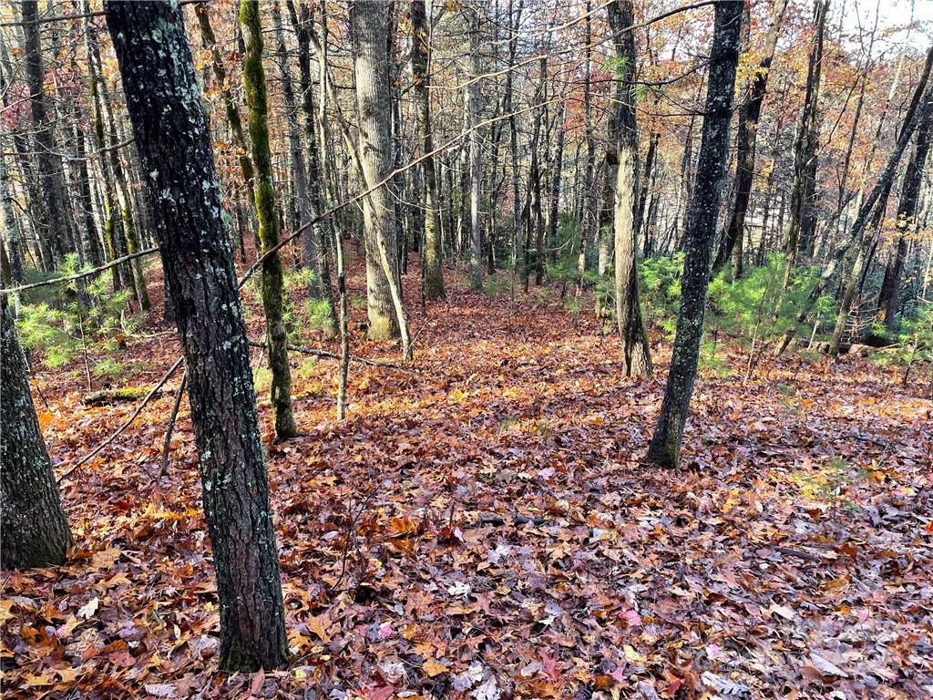 9999 Sassafras Road Cedar Mountain NC 28718